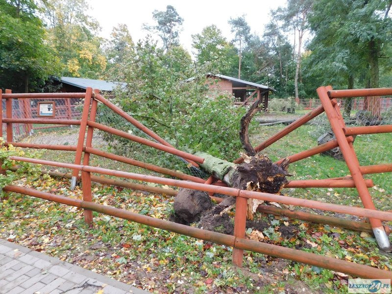 Park 1000-lecia zamknięty! (zdjęcia)