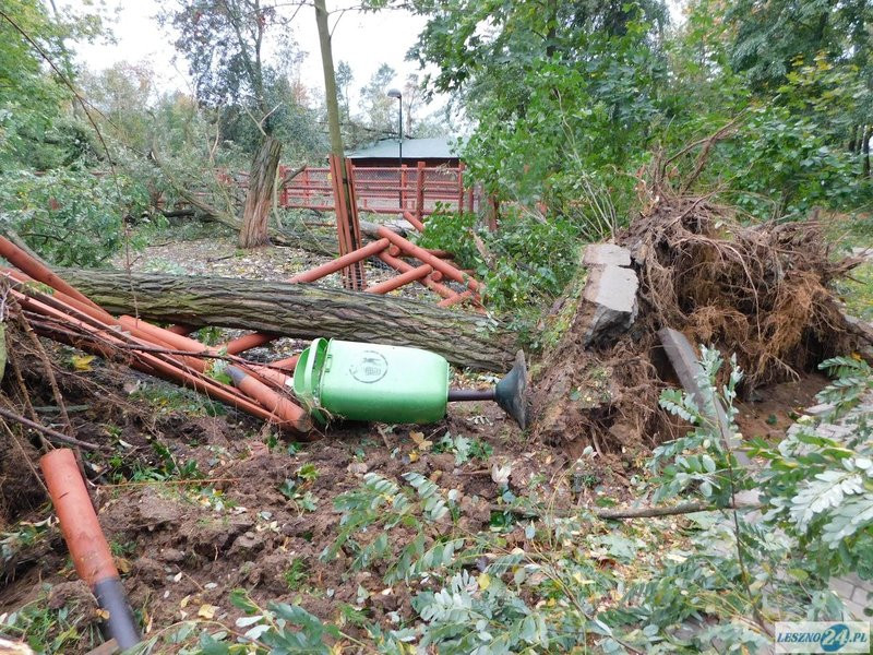 Park 1000-lecia zamknięty! (zdjęcia)