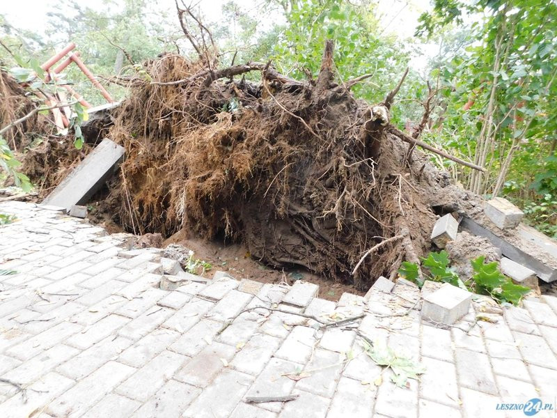 Park 1000-lecia zamknięty! (zdjęcia)