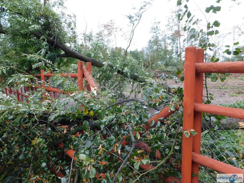 Park 1000-lecia zamknięty! (zdjęcia)