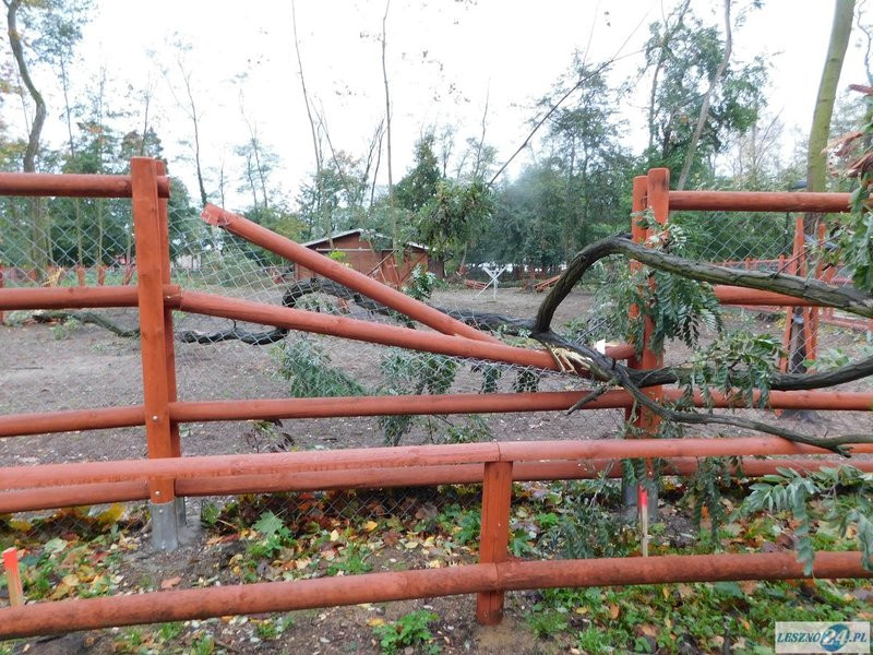 Park 1000-lecia zamknięty! (zdjęcia)