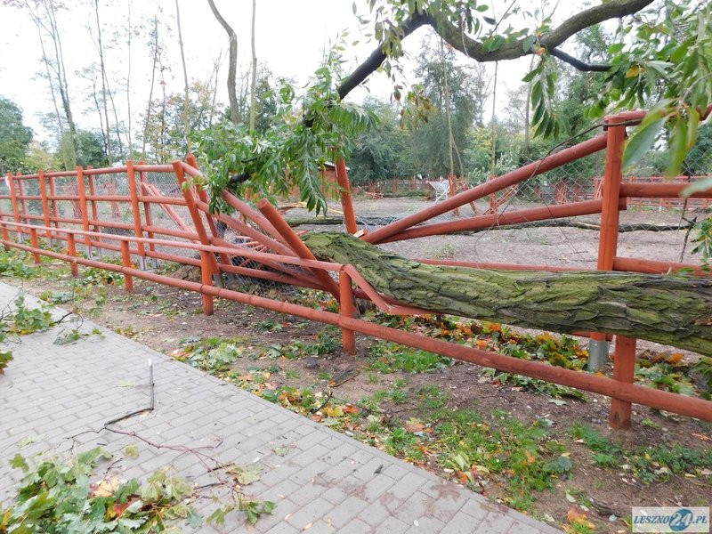 Park 1000-lecia zamknięty! (zdjęcia)