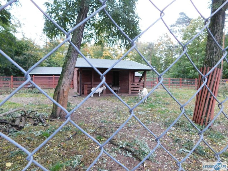 Park 1000-lecia zamknięty! (zdjęcia)