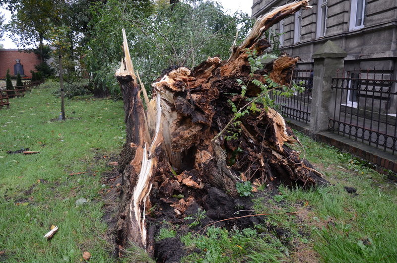 Wichura zdemolowała Leszno i powiat (zdjęcia)