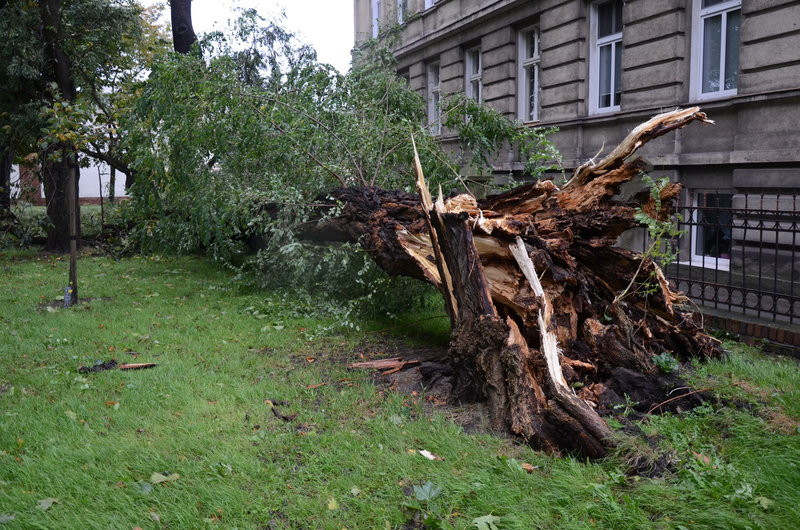 Wichura zdemolowała Leszno i powiat (zdjęcia)