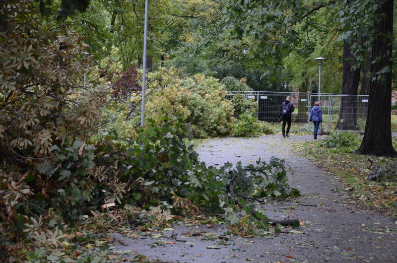 Wichura zdemolowała Leszno i powiat (zdjęcia)