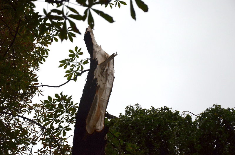 Wichura zdemolowała Leszno i powiat (zdjęcia)