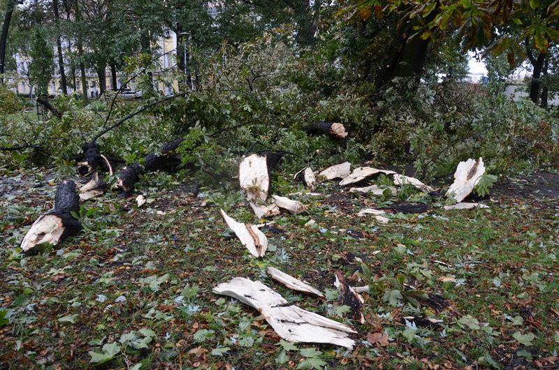 Wichura zdemolowała Leszno i powiat (zdjęcia)