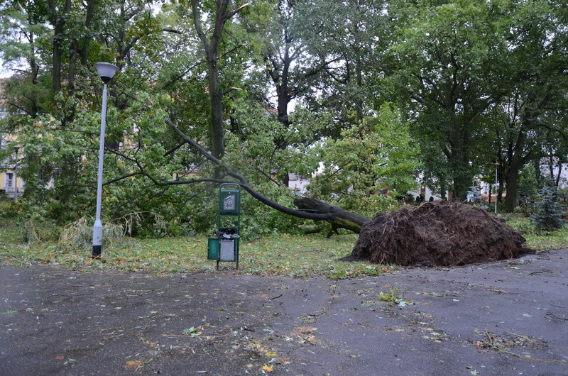 Wichura zdemolowała Leszno i powiat (zdjęcia)