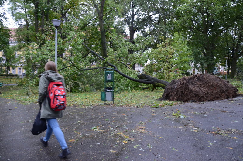 Wichura zdemolowała Leszno i powiat (zdjęcia)