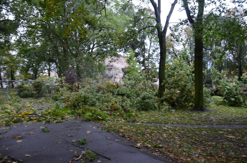 Wichura zdemolowała Leszno i powiat (zdjęcia)