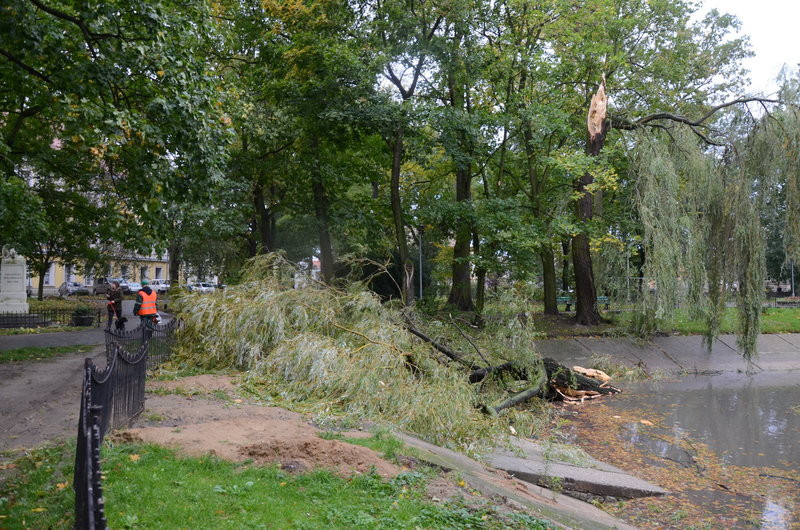 Wichura zdemolowała Leszno i powiat (zdjęcia)