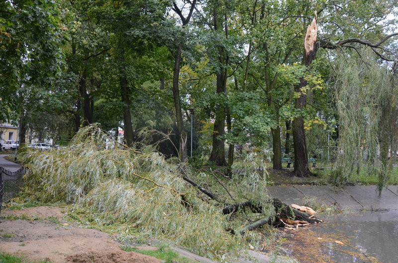 Wichura zdemolowała Leszno i powiat (zdjęcia)
