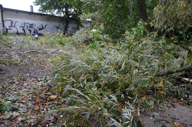 Wichura zdemolowała Leszno i powiat (zdjęcia)