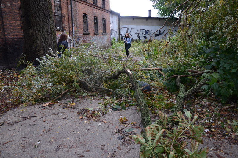 Wichura zdemolowała Leszno i powiat (zdjęcia)