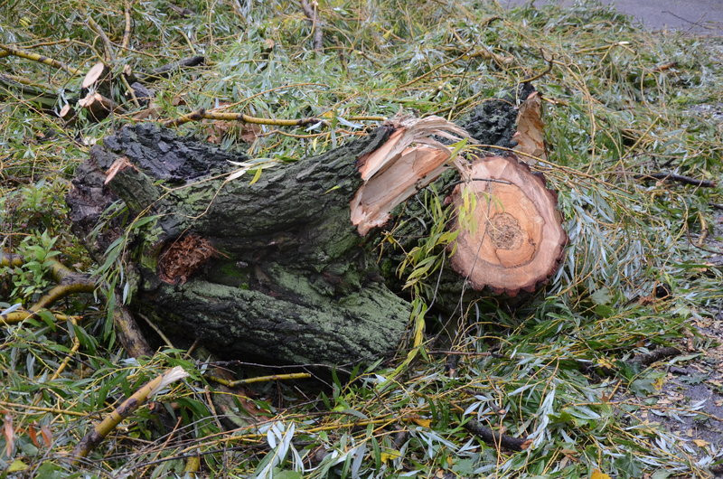 Wichura zdemolowała Leszno i powiat (zdjęcia)