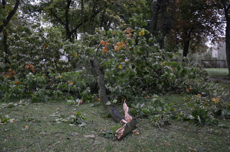 Wichura zdemolowała Leszno i powiat (zdjęcia)