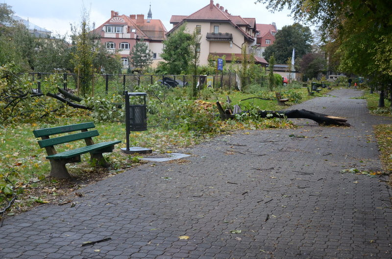 Wichura zdemolowała Leszno i powiat (zdjęcia)