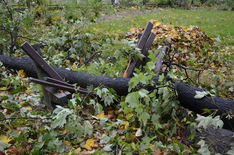 Wichura zdemolowała Leszno i powiat (zdjęcia)