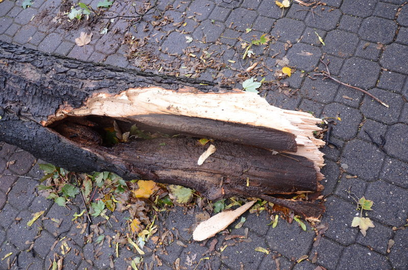 Wichura zdemolowała Leszno i powiat (zdjęcia)