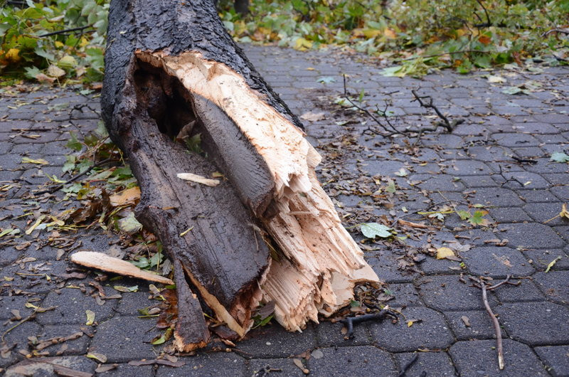 Wichura zdemolowała Leszno i powiat (zdjęcia)