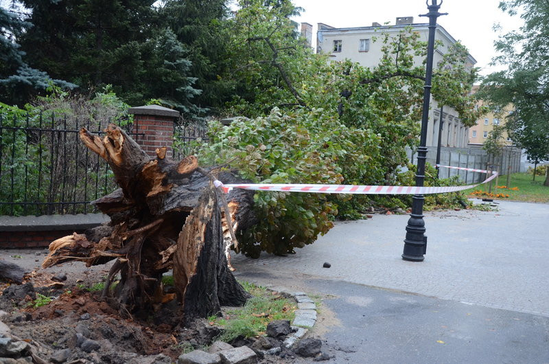 Wichura zdemolowała Leszno i powiat (zdjęcia)