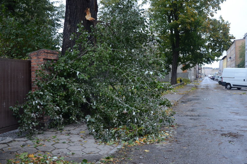 Wichura zdemolowała Leszno i powiat (zdjęcia)