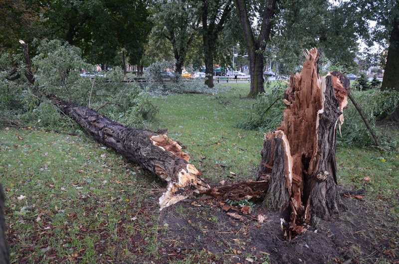 Wichura zdemolowała Leszno i powiat (zdjęcia)
