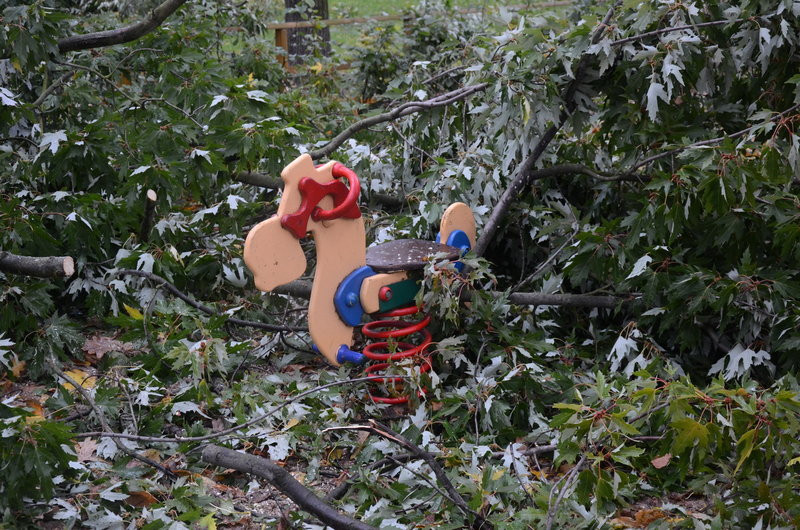Wichura zdemolowała Leszno i powiat (zdjęcia)