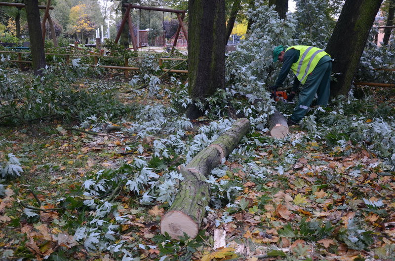 Wichura zdemolowała Leszno i powiat (zdjęcia)