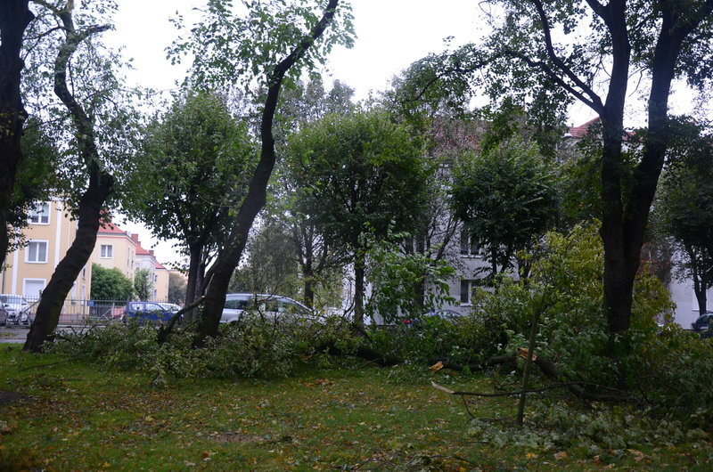 Wichura zdemolowała Leszno i powiat (zdjęcia)