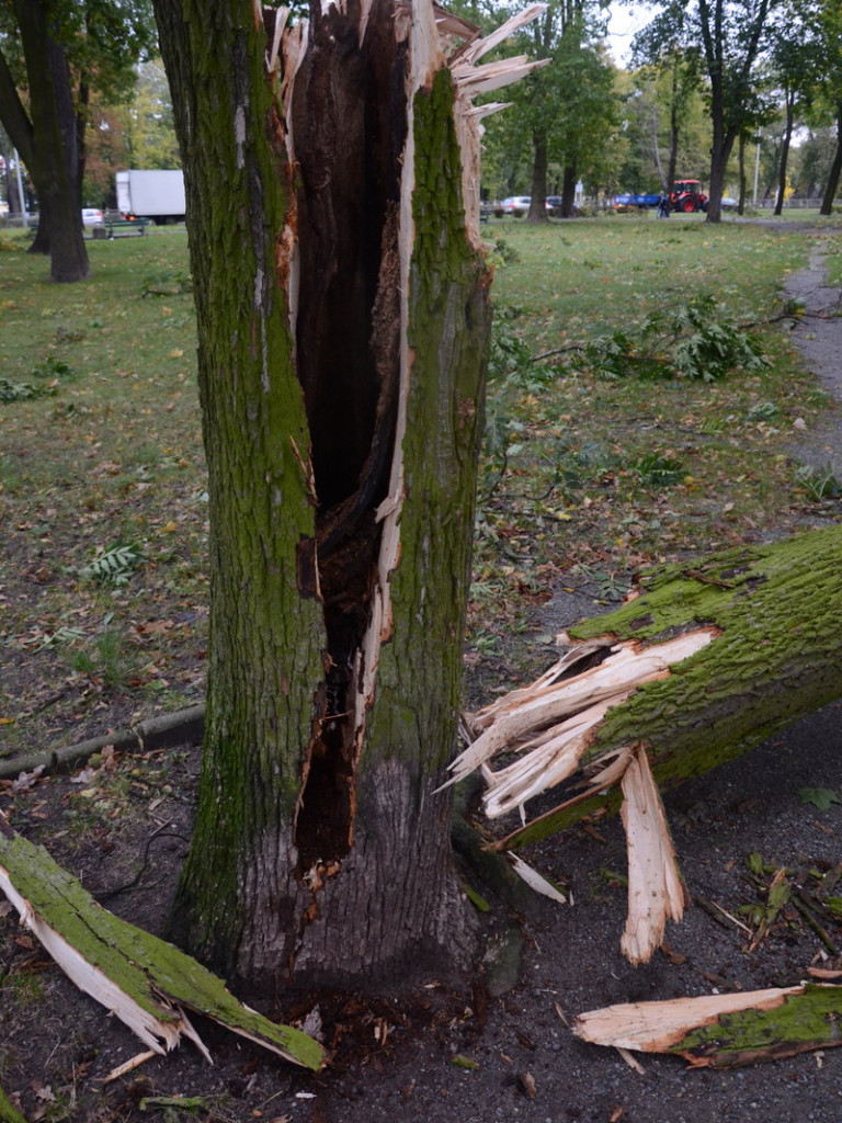 Wichura zdemolowała Leszno i powiat (zdjęcia)