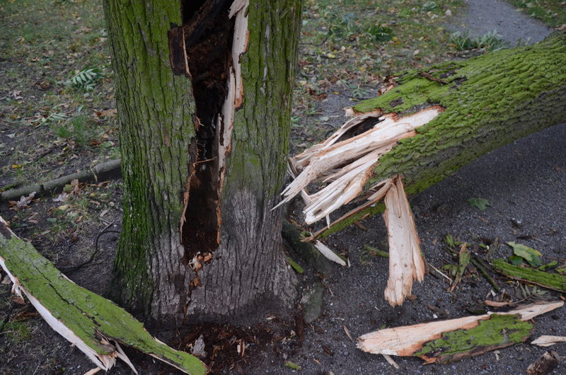 Wichura zdemolowała Leszno i powiat (zdjęcia)