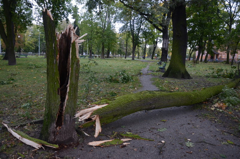 Wichura zdemolowała Leszno i powiat (zdjęcia)