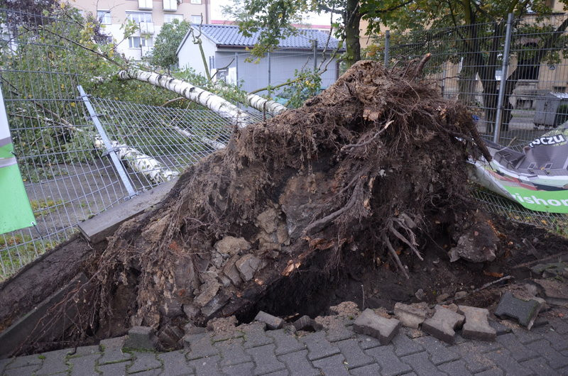Wichura zdemolowała Leszno i powiat (zdjęcia)