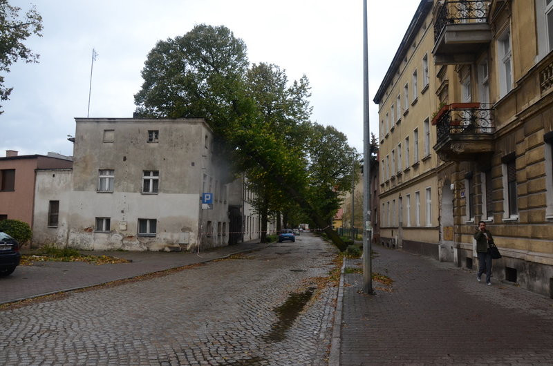 Wichura zdemolowała Leszno i powiat (zdjęcia)
