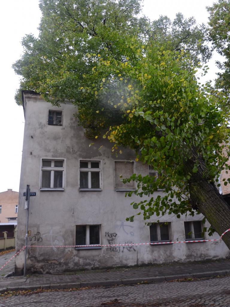 Wichura zdemolowała Leszno i powiat (zdjęcia)