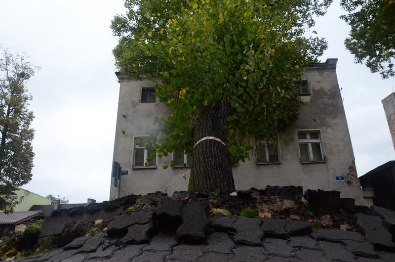 Wichura zdemolowała Leszno i powiat (zdjęcia)