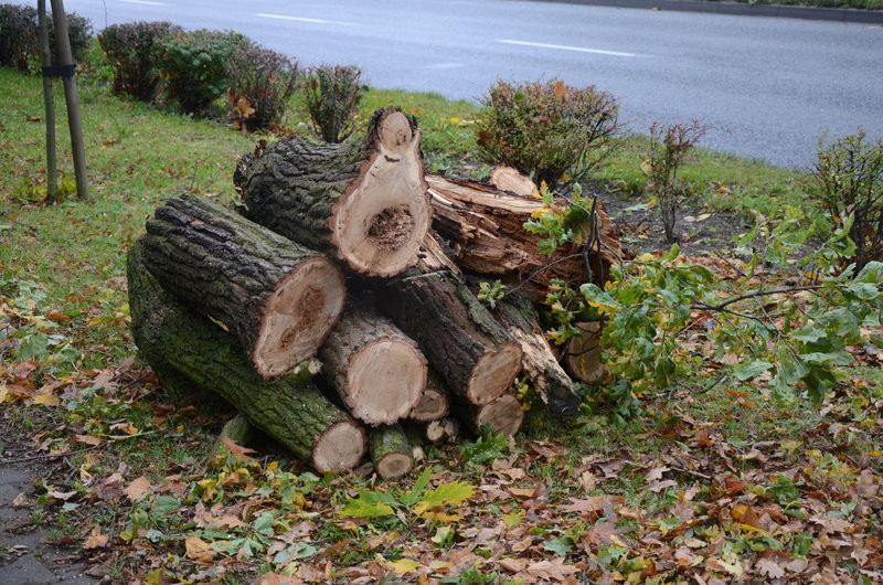Wichura zdemolowała Leszno i powiat (zdjęcia)