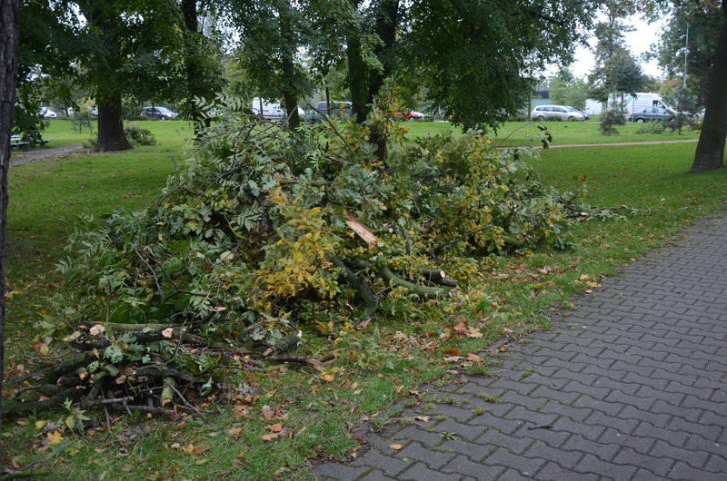 Wichura zdemolowała Leszno i powiat (zdjęcia)