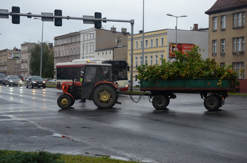 Wichura zdemolowała Leszno i powiat (zdjęcia)