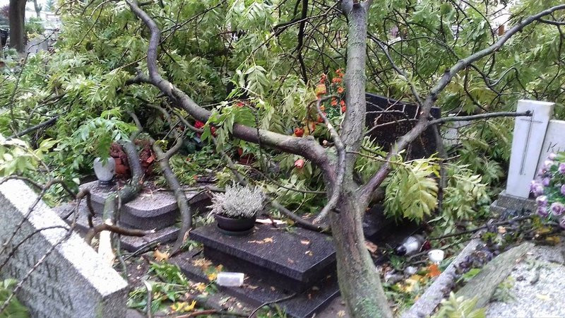 Żywioł zniszczył nagrobki (kilka zdjęć)