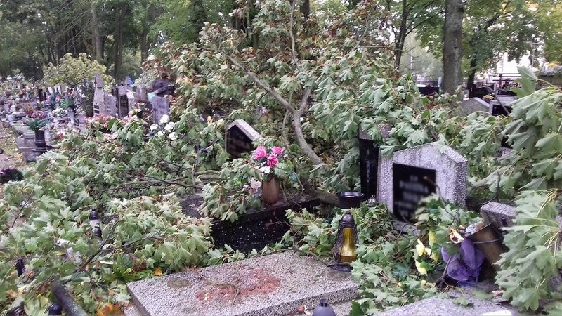 Żywioł zniszczył nagrobki (kilka zdjęć)