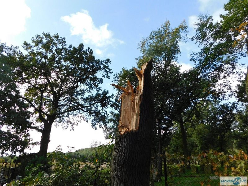 Huragan zdewastował cmentarz w Strzyżewicach (zdjęcia)