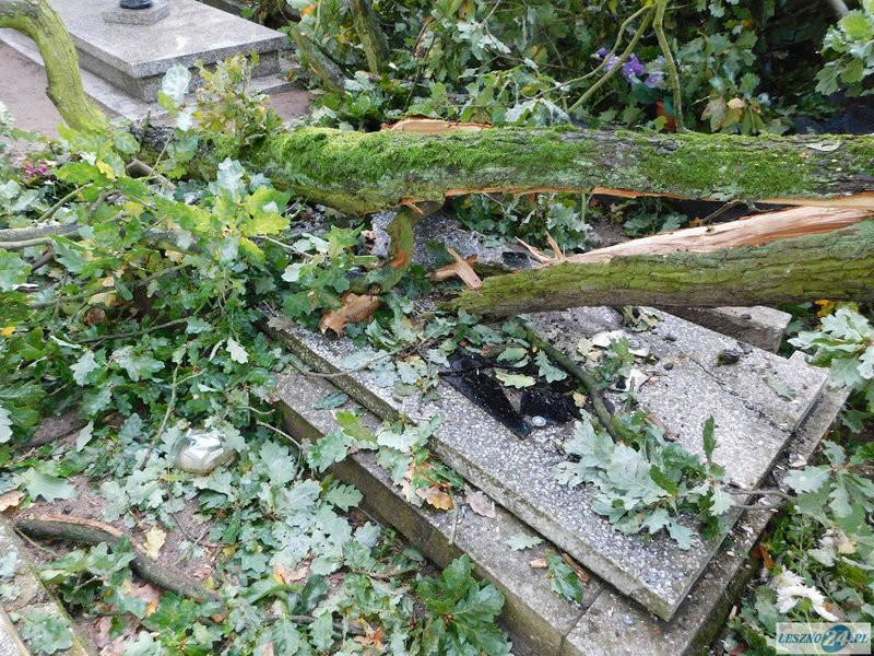 Huragan zdewastował cmentarz w Strzyżewicach (zdjęcia)