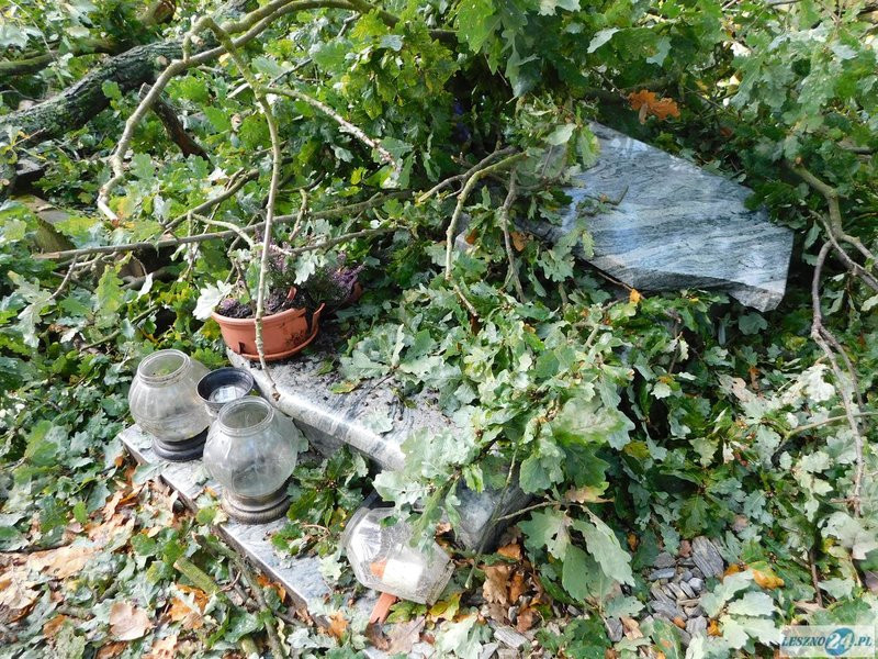 Huragan zdewastował cmentarz w Strzyżewicach (zdjęcia)