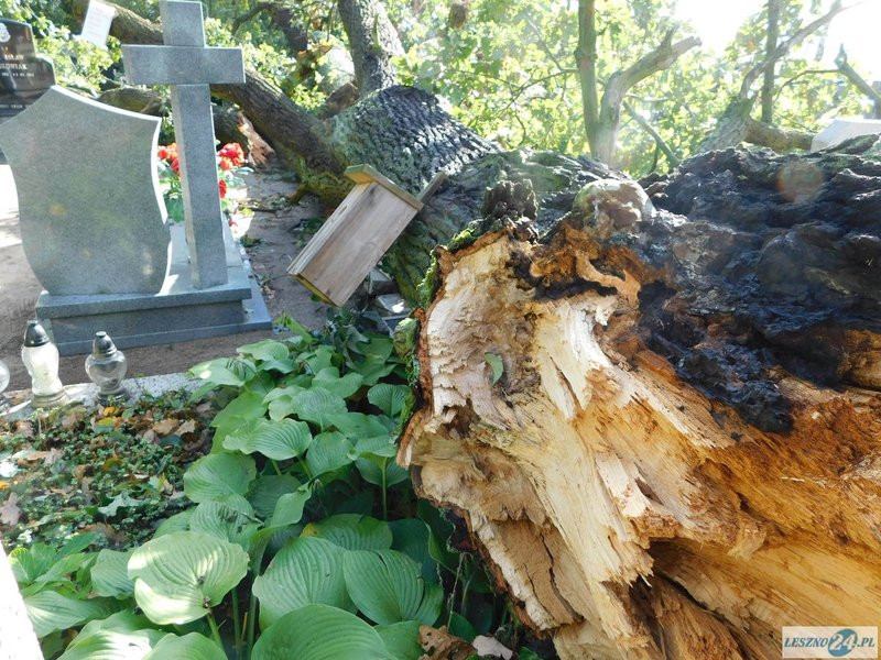 Huragan zdewastował cmentarz w Strzyżewicach (zdjęcia)