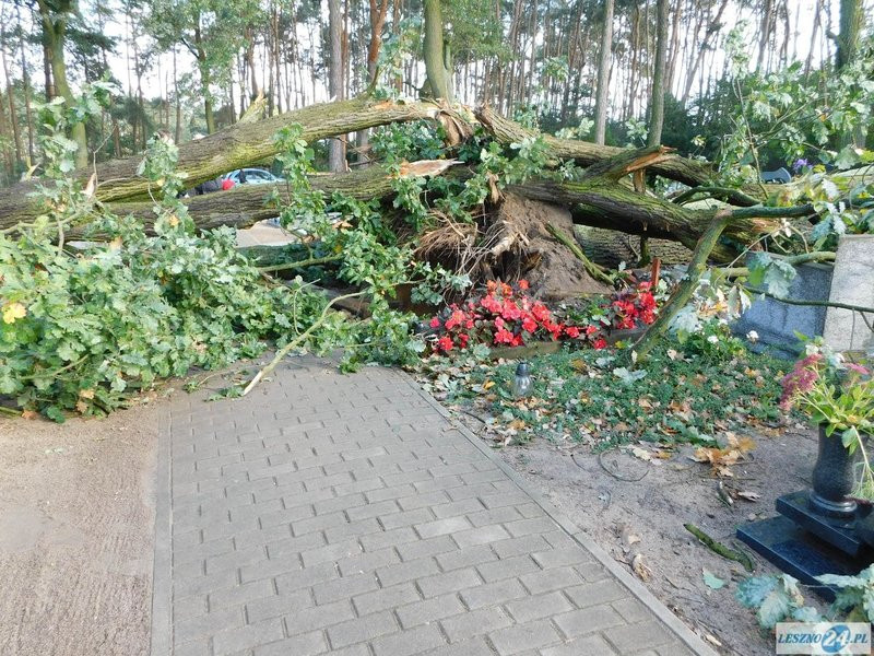 Huragan zdewastował cmentarz w Strzyżewicach (zdjęcia)