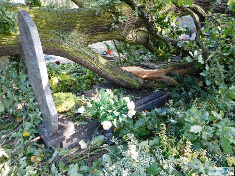 Huragan zdewastował cmentarz w Strzyżewicach (zdjęcia)