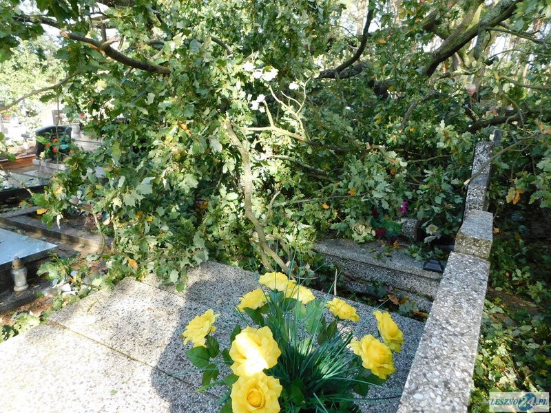 Huragan zdewastował cmentarz w Strzyżewicach (zdjęcia)